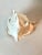 Nautical Queen Helmet Conch Shell For Sale - Image 3 of 12