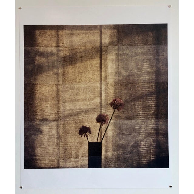 American Peter C. Jones 1, Checkered Alliums, Large Format Photo 24X20 Color Photograph Beach House RI, 2008 For Sale - Image 3 of 6