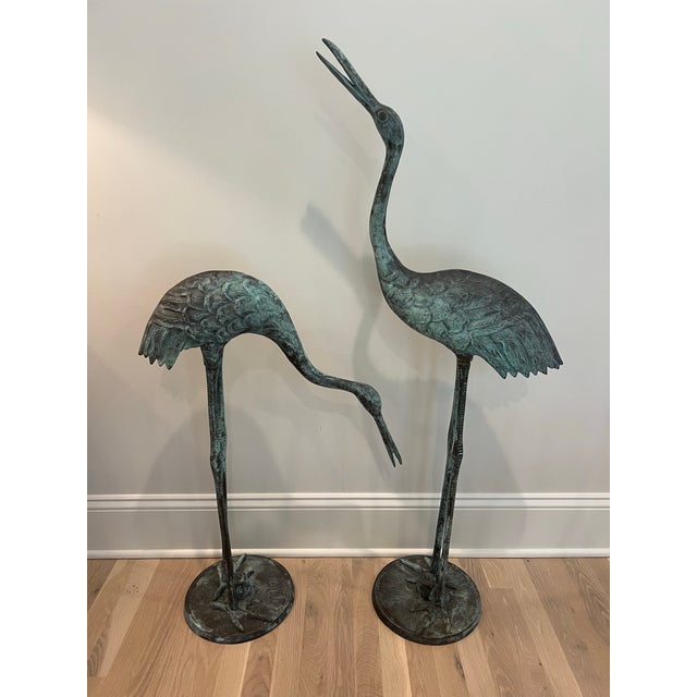 We love the stately stature of these classy birds as a classy complement to any terrace, patio, garden or deck....