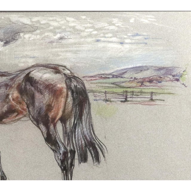 1980s The Equestrian Eye: Original Pastel of a Stallion by Leslie Charlotte Benenson Dated May 16, 1986 For Sale - Image 5 of 8