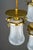 Art Nouveau Chandelier with Opaline Glass Shades, Vienna, 1910 For Sale - Image 3 of 18