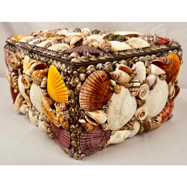 Coastal Large Multi Colored Natural Sea Shell Covered Box-Hinged For Sale - Image 3 of 10