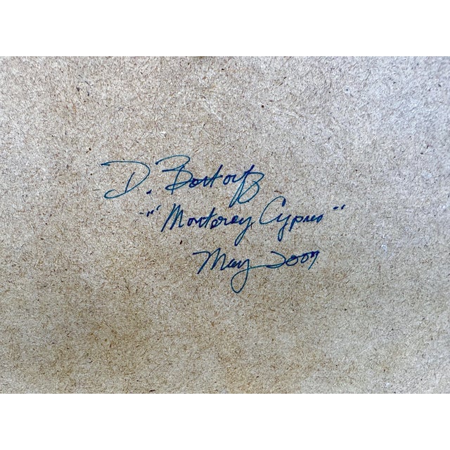 Near Point at Carmel by the Sea California by Dee Bottorff For Sale In Monterey, CA - Image 6 of 7