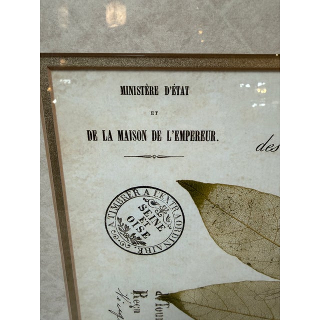 Botanical Collection Plates, Set of Two For Sale - Image 11 of 12