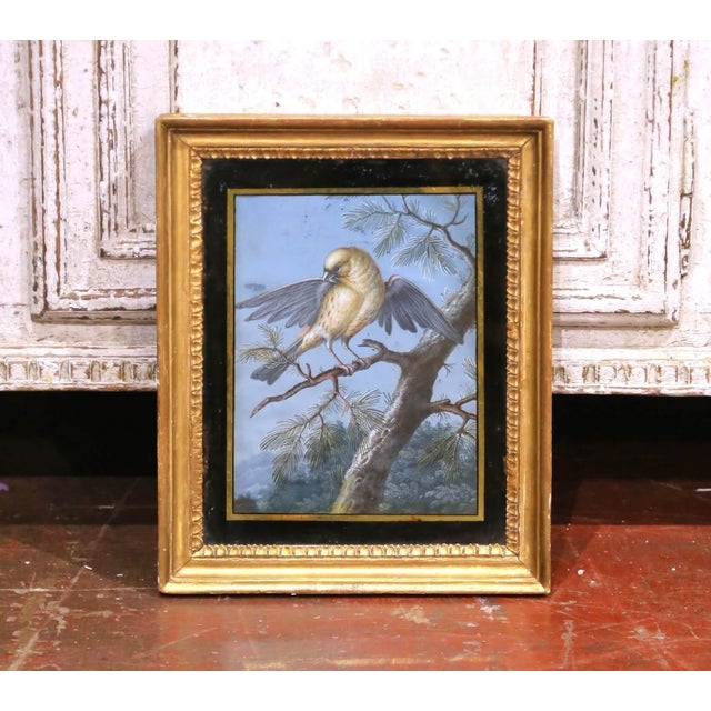 Mid 19th Century 19th Century French Fixé Sous Verre Bird Painting in Carved Giltwood Frame For Sale - Image 5 of 8