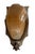 Antiqu Art Deco Slip Shade Wall Sconces - a Pair For Sale - Image 4 of 7
