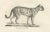 C.C. G. Zool, Gentle Cat and the Serval in Poses, 1836, Print For Sale - Image 6 of 11