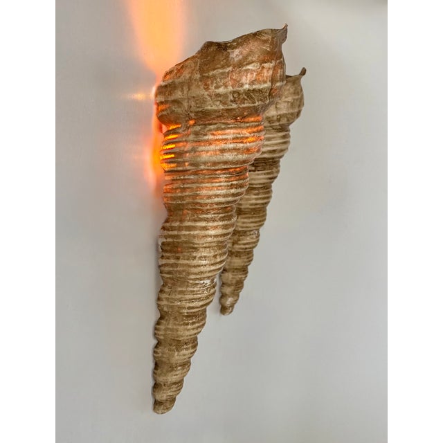 Plastic Vintage Shell Wall Sconces in Beige Fiberglass, France, 1960, Set of 2 For Sale - Image 7 of 10