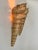 Plastic Vintage Shell Wall Sconces in Beige Fiberglass, France, 1960, Set of 2 For Sale - Image 7 of 10
