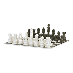 Black and White Chess Board