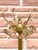 Gold Brass Coat Rack from Unbekannt, 1970s For Sale - Image 8 of 9