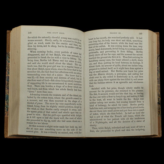Brown 1880's Antique Novel the Snow Ship For Sale - Image 8 of 10