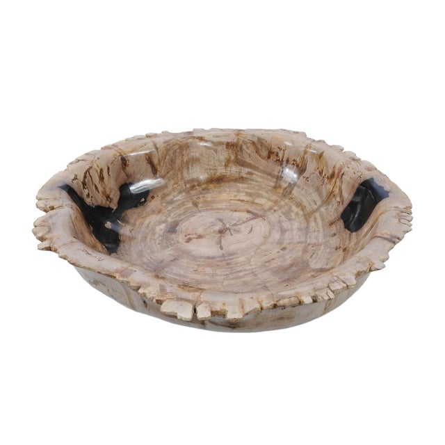 This remarkable petrified wood bowl is carved from a single piece of fossilized tree, formed deep within the volcanic...