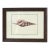 Italian Seashell Print Artwork Wall Art For Sale