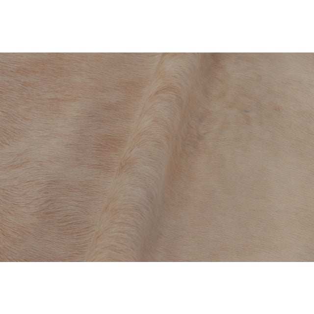 Animal Skin Rug & Kilim’s Large Cowhide Rug in Beige and Cream White Tones For Sale - Image 7 of 8