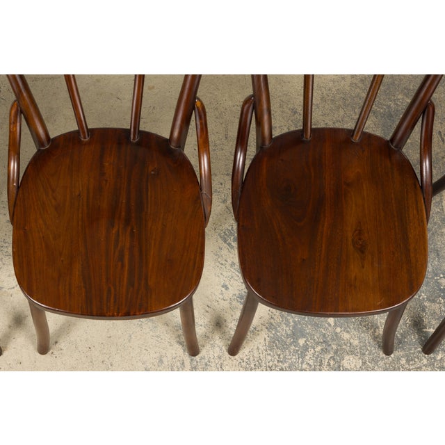 Thonet Set of 4 French Bentwood Bistro Dining Chairs, Provence, Mid-20th Century For Sale - Image 4 of 18