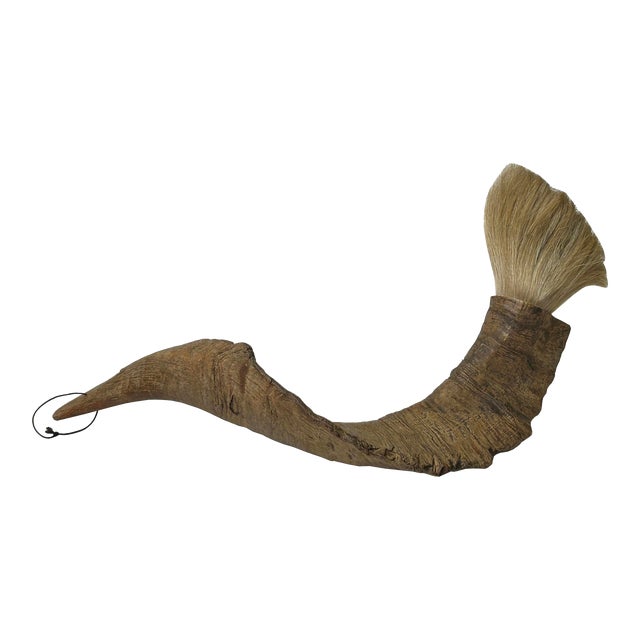 18" Rustic Natural Artistic Horn Shape Brush Accent Display For Sale