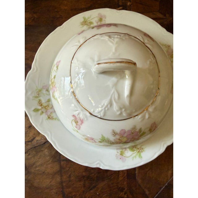 Antique Oeg Royal Austria Porcelain Covered Butter Dish Pink Floral Gutherz 1899 to 1918 For Sale - Image 11 of 12