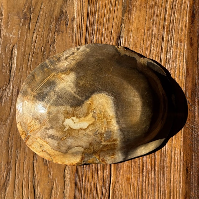 Stone Dark Beige Oval Petrified Wood Bowl, 1980s For Sale - Image 7 of 8