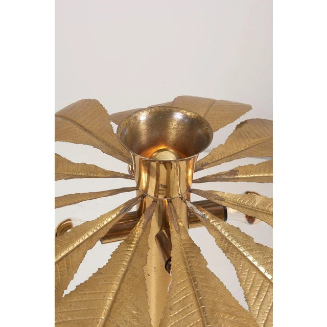Brass Rhubarb Floor Lamp by Tommaso Barbi, 1970s For Sale - Image 8 of 11