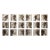 Set of 18 - Gallery Wall Photograph Prints 'Blurred Antique Profiles', Unframed For Sale