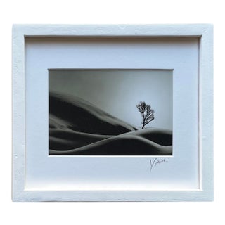 Youngbok Park, Dawn Hokkaido Contemporary Photograph - Signed For Sale