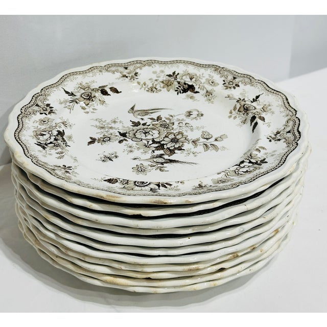Set of Antique Podmore Walker and Co English Brown Transferware Dinner Plates For Sale - Image 4 of 10