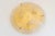 Clear and Golden Murano Glass Flush Mount with Brass Base from Sylcom Lighting, 1990s For Sale - Image 4 of 18