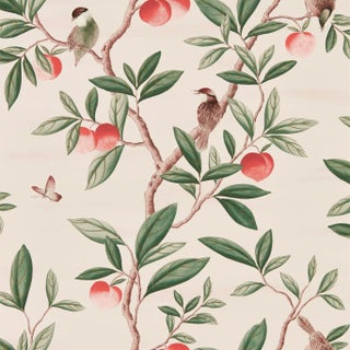 Harlequin Ella Wallpaper in Powder/ Sage / Peach For Sale