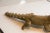 Late 20th Century Vintage African Crocodile With Fish Sculpture For Sale - Image 5 of 7