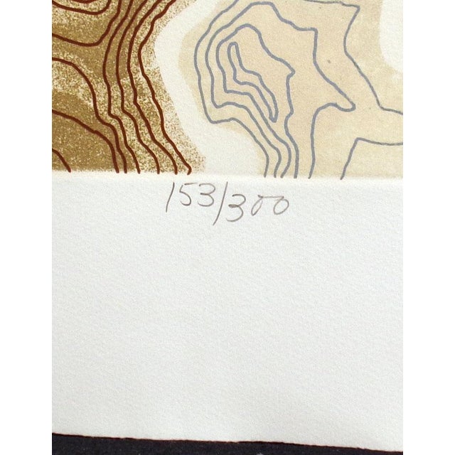 1980s Paula Crane "Archipelago Ii" Hand Signed & Numbered Artwork Etching For Sale - Image 5 of 5