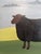 Paint Contemporary 'Norma' Original Naive Style Animal Oil Painting by British Artist Matt Rix, Framed For Sale - Image 7 of 8
