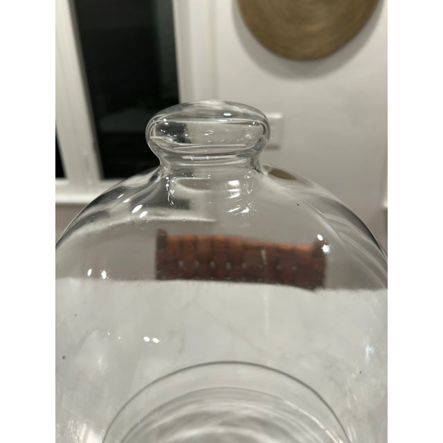 This would be beautiful in any decor. This vintage cloche works with a plant under it or any decor item. They also look...