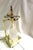 Mid-Century/Modern Rock Crystal Lamp Hi-polished Brass . LED base For Sale - Image 12 of 18