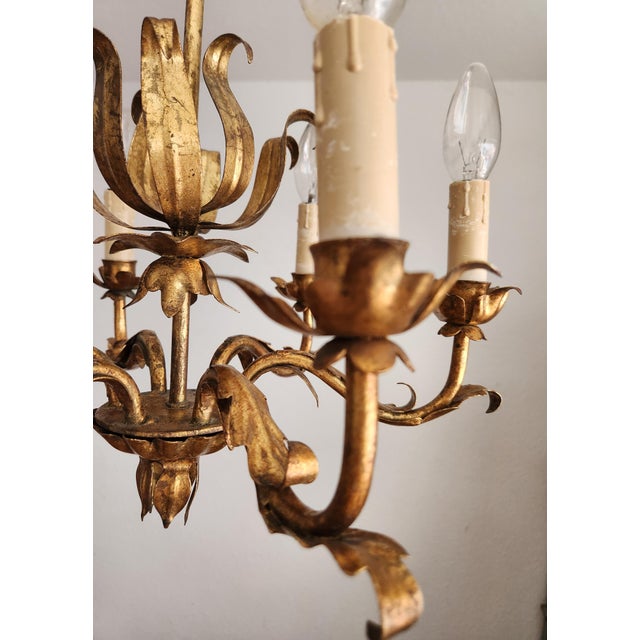 Vintage Florentine Chandelier Gilded in Gold Leaf, 1940s For Sale - Image 17 of 18