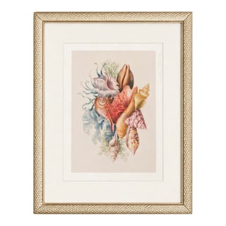 Framed Coastal Seashell Bouquet Watercolor Art Print For Sale