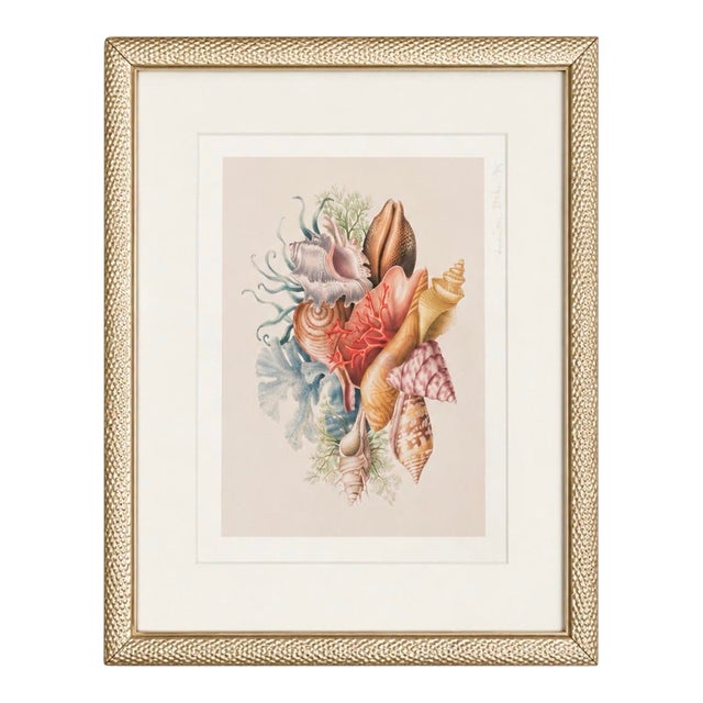 Framed Coastal Seashell Bouquet Watercolor Art Print For Sale