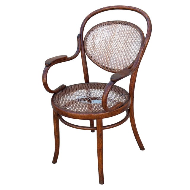 Victorian Late Victorian Bent Oak & Cane Nr. 8256 Armchair Attributed to DLG Thonet For Sale - Image 3 of 8