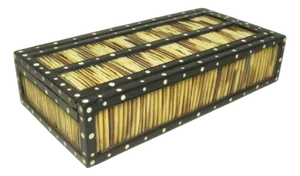Anglo Indian Long Quill Pencil Box