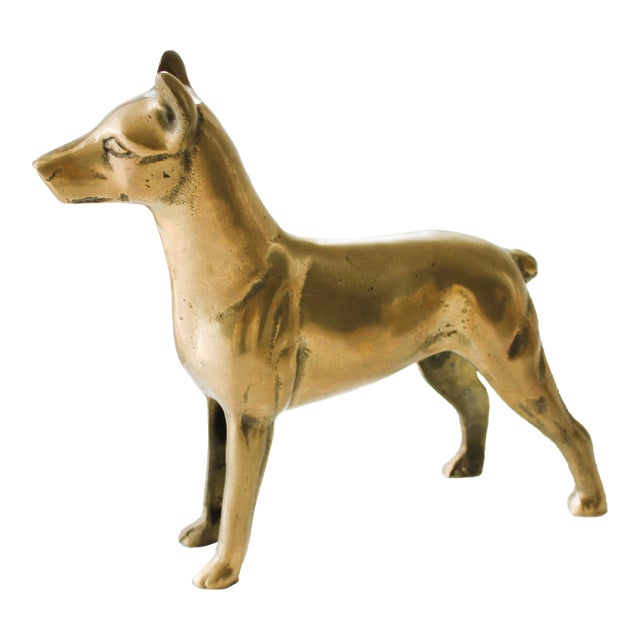 Polished Brass Doberman Pincher Figural Dog For Sale