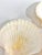 Mid Century Natural Seashell Clam Shell Appetizer Plates - Set of 7 For Sale - Image 9 of 12