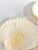 Vintage Natural Scallop Shell Serving Dishes, Coastal Set of 7 For Sale - Image 9 of 12