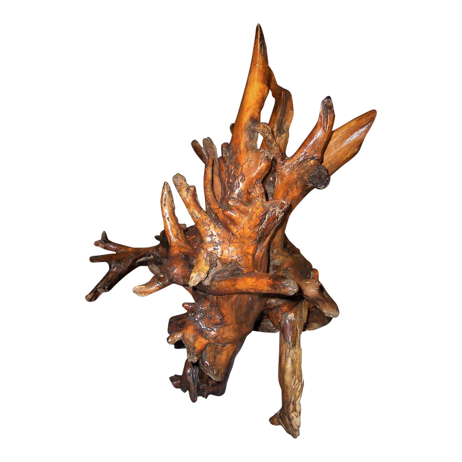 Tree Root Wooden Sculpture Chairish