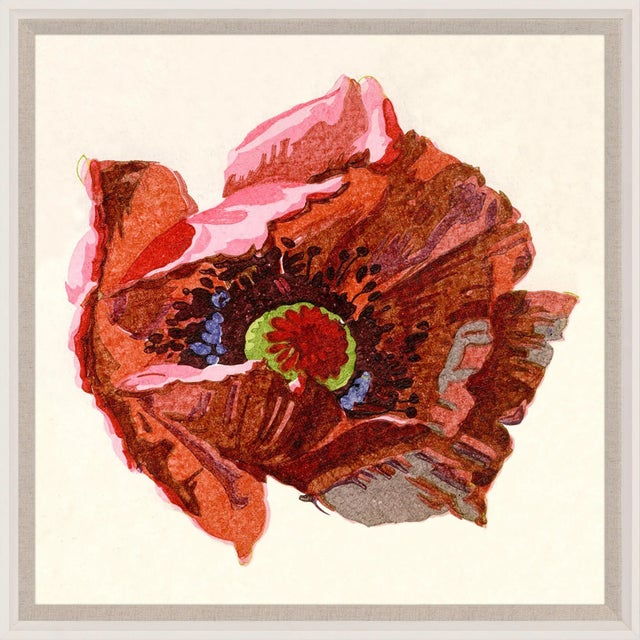 Pignier, Flowerhead, Framed Artwork - Set Of 4 For Sale - Image 4 of 6