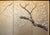 1950-1960s Shōwa Era Japanese Painted Silk Byobu Screen "Blossoming Sakura" For Sale - Image 10 of 18