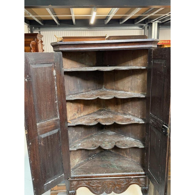 Antique Oak 2 Door Corner Unit With Carved Panels Resting On Cabriole Feet For Sale - Image 6 of 8