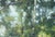 Sidewalk Along the Park - Landscape in Oil on Canvas by Gholam Yunessi For Sale In Monterey, CA - Image 6 of 6