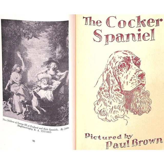 Paper "The Complete Cocker Spaniel" 1946 Denlinger, Milo G. For Sale - Image 7 of 17