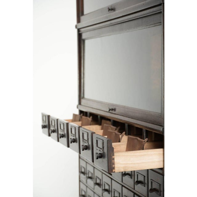 Pharmacy Display Cabinet from Globe Wernicke, 19th Century For Sale - Image 5 of 15