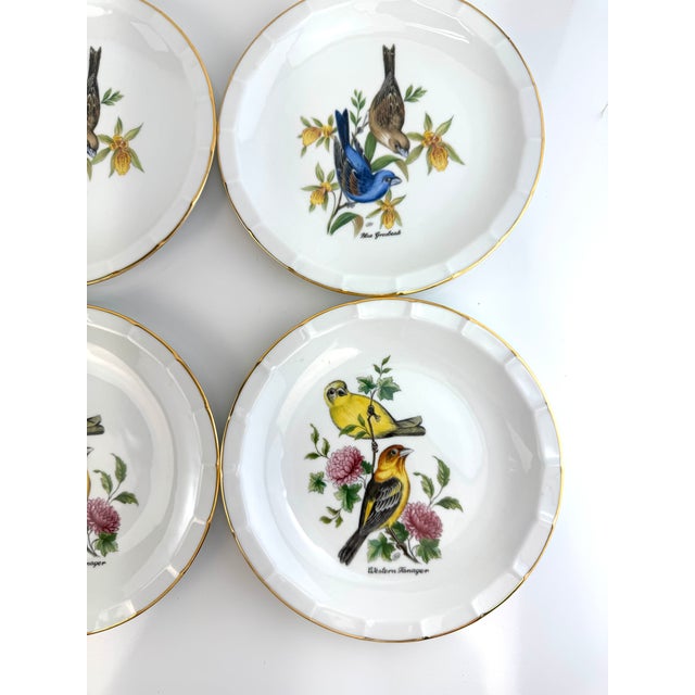 Vintage Royal Bareuther Bird Plate With Gold Accents, Set of 8 For Sale - Image 11 of 11